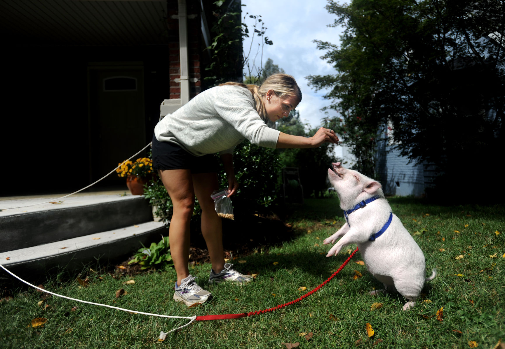 2011-09-07 Pig